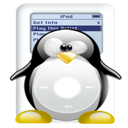 penguin pingouin pinguino 747